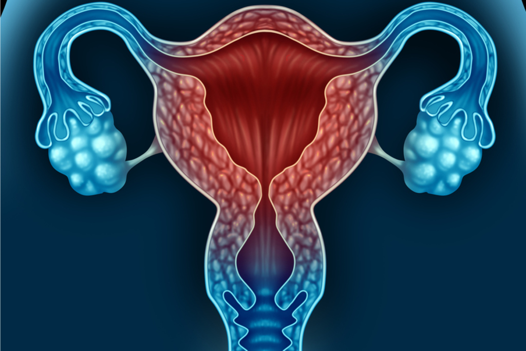 Endocrinologia Reproductiva