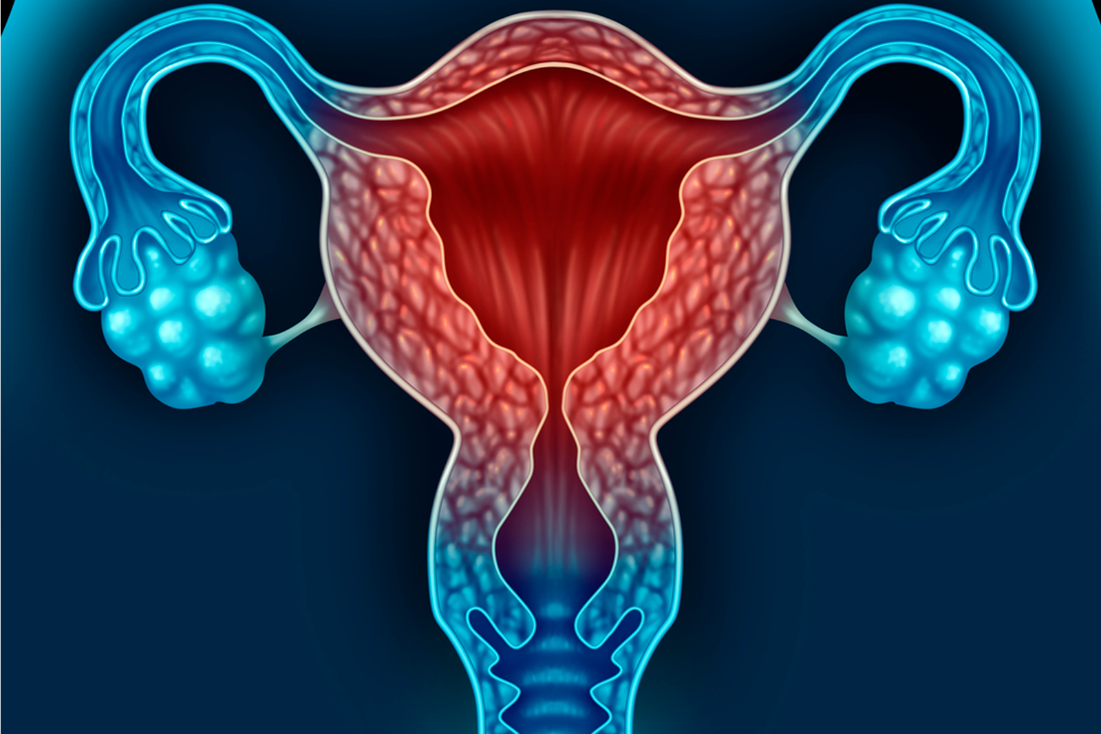 Endocrinologia Reproductiva